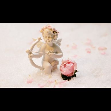 千葉でカルチャースクールならフラワー教室があります