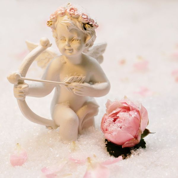 千葉でカルチャースクールならフラワー教室があります