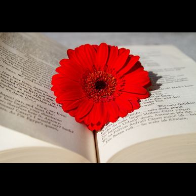 NFD・フラワーアレンジメントの資格取得ならアトリエ・シャン・ド・フルール